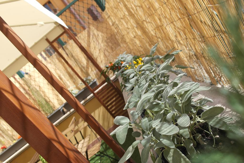 Candia Green House B&B Rom Exteriör bild